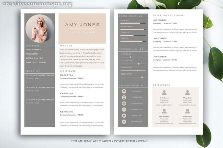 Desain Resume Gratis untuk Profesional Kreatif