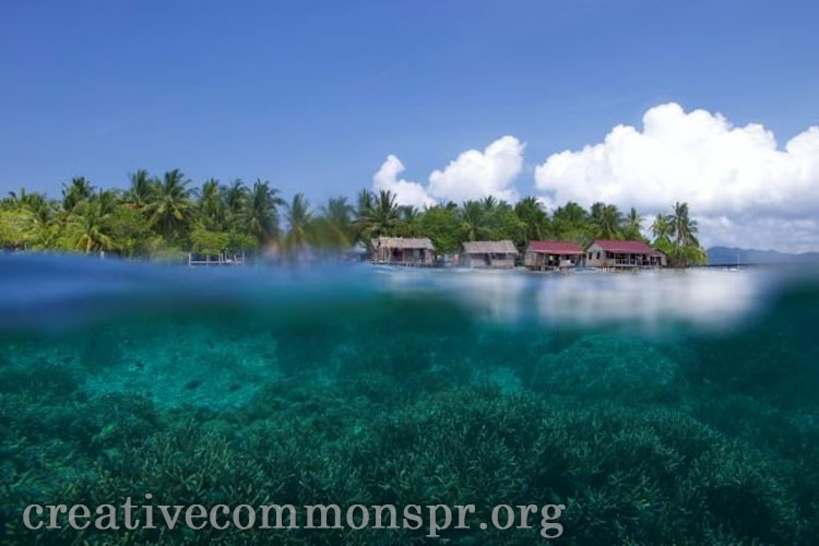 Open Data untuk Konservasi Laut: Inisiatif dan Peluang